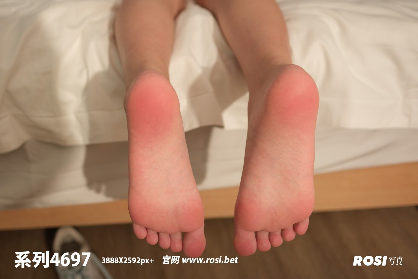 ROSI写真 2024.10.14 NO.4697